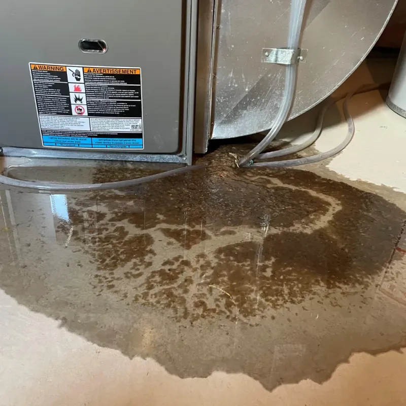 Appliance Leak Cleanup in Coventry Lake, CT